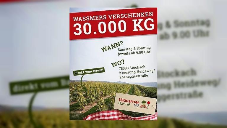 Ферма в Германии бесплатно подарила людям 30 тонн яблок. Их некому продавать! А кто-то раздавил бы бульдозером)