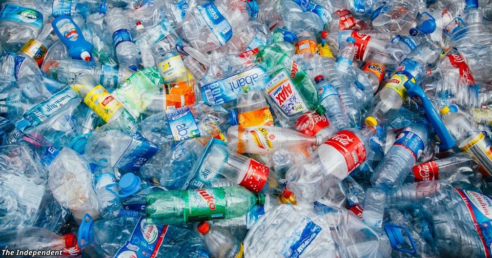 Европарламент запретил одноразовый пластик. Скоро в Европе его не будет Спасёт ли это планету?