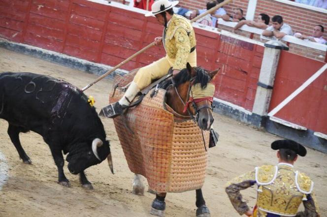 11 причин, почему бег с быками - это поистине варварское европейское развлечение Не потакайте таким жестоким ″традициям″.