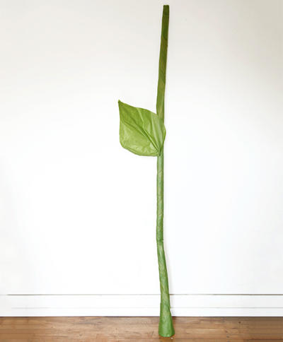 Новый тренд в соцсетях: гигантские бумажные цветы Вы тоже можете сделать такие.