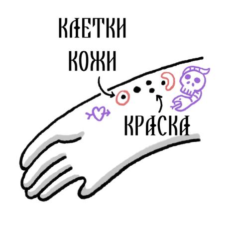 8 вещей, которые происходят с вашим телом, когда вы делаете татуировку А ведь когда-то это был способ анестезии.