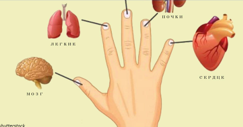Каждый палец связан с 2 органами: Японский метод самоисцеления за 5 минут Стимуляция правильных точек улучшает здоровье.