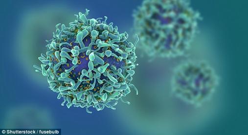 ВИЧ можно убить иммунной системой! Первое лекарство уже появилось Оно - безопасно.