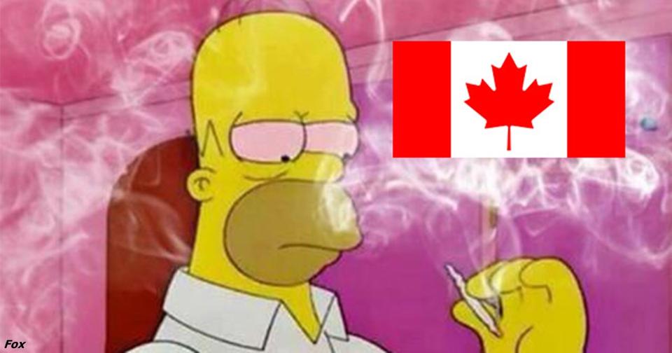 «Симпсоны» знали о легализации конопли в Канаде еще 13 лет назад! Смотрите сами.