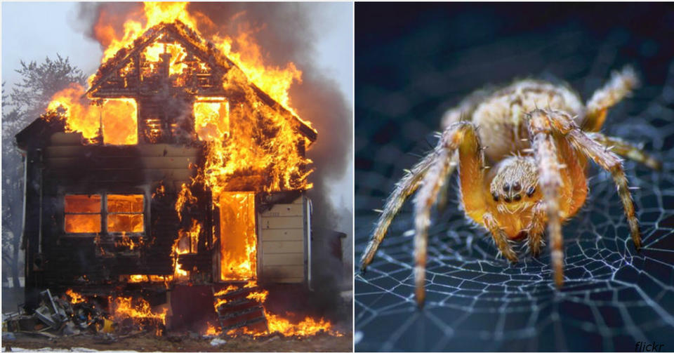 Мужик пытался убить паука - и сжег собственный дом Это как из пушки по воробьям!