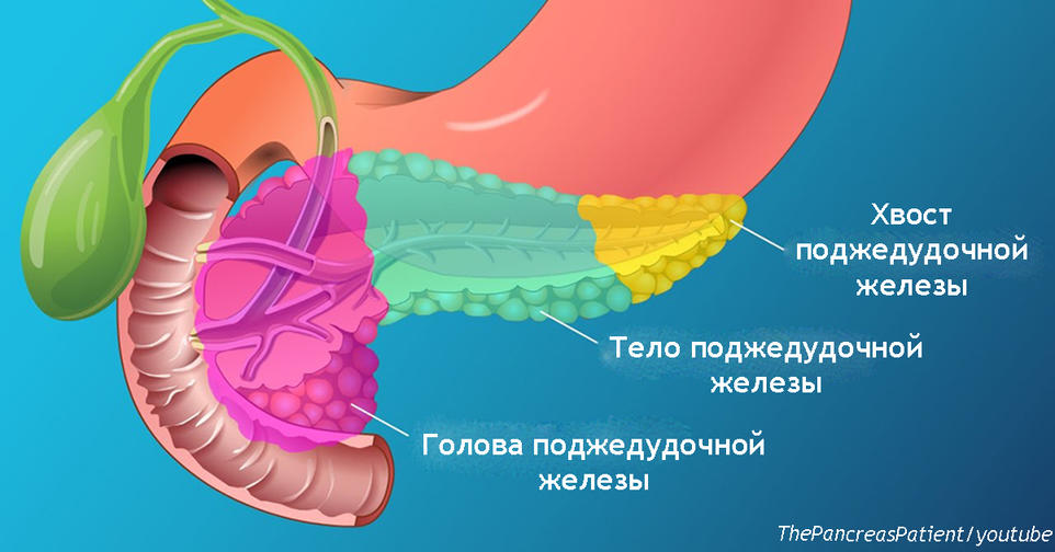 Поджелудочная   жизненно важный орган, но симптомы её болезни 90% из нас игнорируют Бойтесь её гнева!