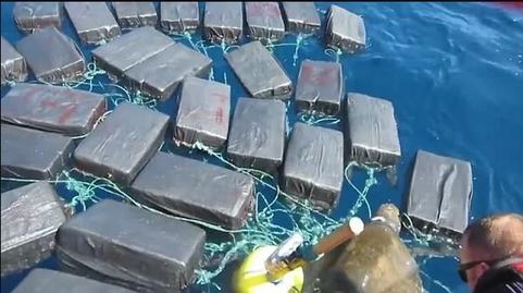 В США ″арестовали″ морскую черепаху, перевозящую 800 кг кокаина Оригинальный ″трафик″.
