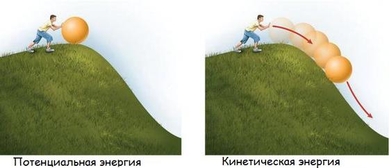 Пояснение, чем кинетическая энергия отличается от потенциальной