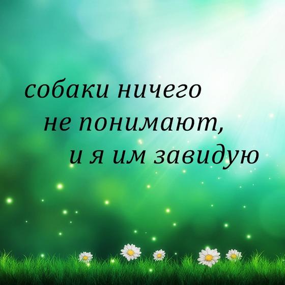 30 злых, циничных, но честных цитат неизвестного, который устал от «ванильных» постов в соцсетях Ударная доза демотивации!