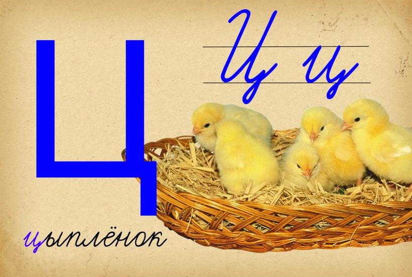 Буква