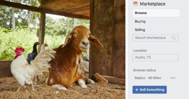 В Фейсбуке больше нельзя продавать щенков или вещи из кожи и меха Лавочку прикрыли.