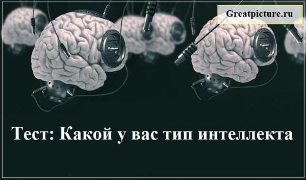 Тест: Какой у вас тип интеллекта — Узнайте прямо сейчас!