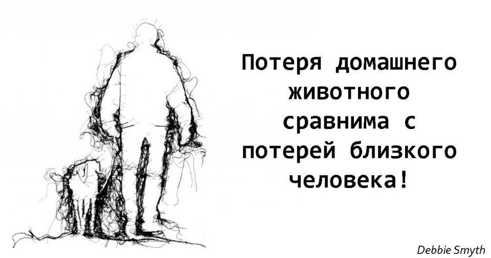 Почему мы должны серьезно относиться к потере домашних животных Это настоящее горе! Согласны?