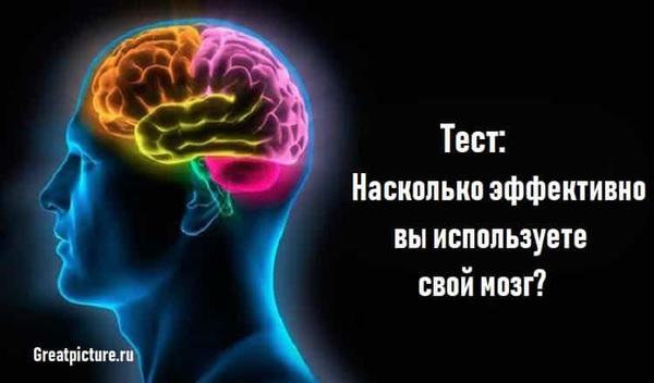 Тест: Насколько эффективно вы используете свой мозг?