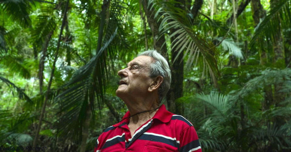 За 40 лет этот бразилец вырастил 31 га тропических лесов на пустом месте Теперь там 8 водопадов!
