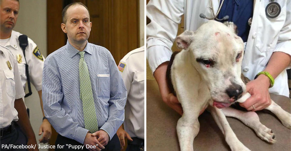 История мужика, который получил 10 лет тюрьмы за издевательства над собакой Не для слабонервных.