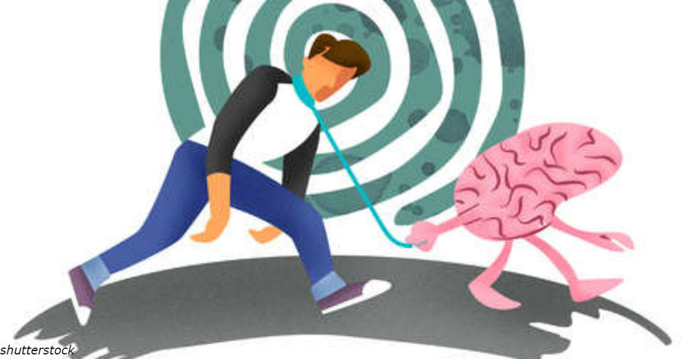 Всего 6 месяцев каждодневных прогулок - и старение мозга обернется вспять Оказывается, мозг можно ″омолодить″?
