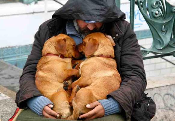Их богатство - в их сердцах: 15 бездомных, которые собакам отдали все У них нет дома, но они делятся едой, дают любовь и укрытие братьям меньшим.