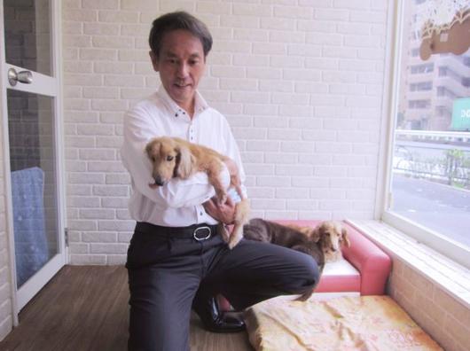 В Японии уже есть дома престарелых для домашних животных Японцы умеют заботиться о себе и о своих любимцах.