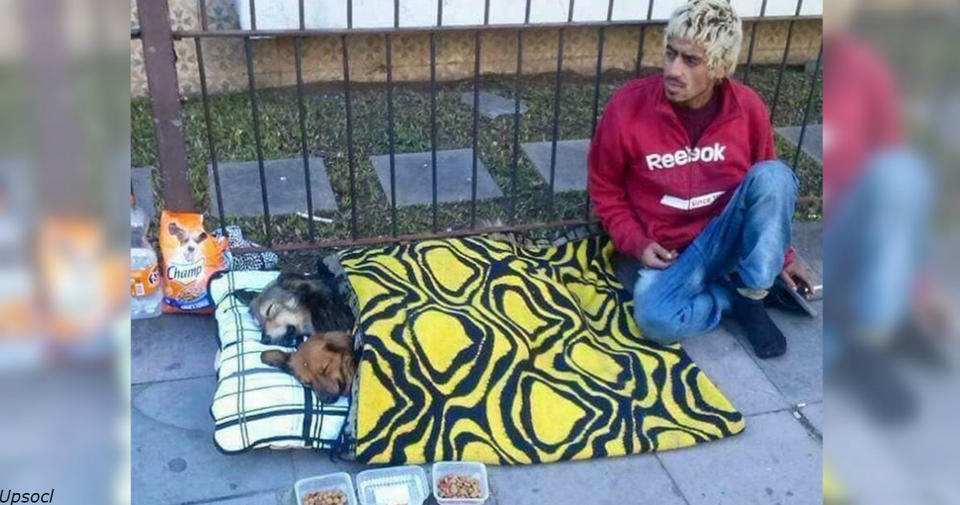 Их богатство - в их сердцах: 15 бездомных, которые собакам отдали все У них нет дома, но они делятся едой, дают любовь и укрытие братьям меньшим.