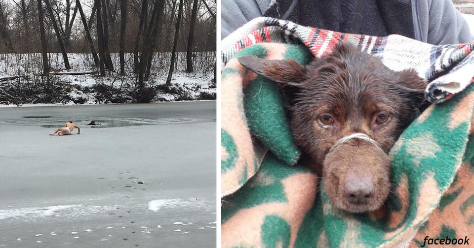 Он пытался спасти тонущего бродячего пса - и сам провалился под лед! Безумец или герой?