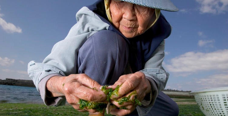 Ковырятся в огороде - это хобби, которое поможет вам дожить до 100 лет В чем же секрет долголетия?