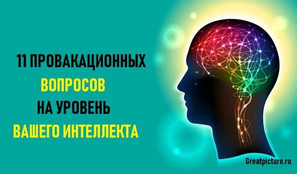 11 провокационных вопросов, на уровень вашего интеллекта