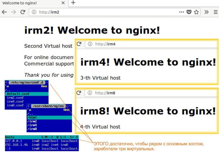 Сервер Nginx: настройка хостов