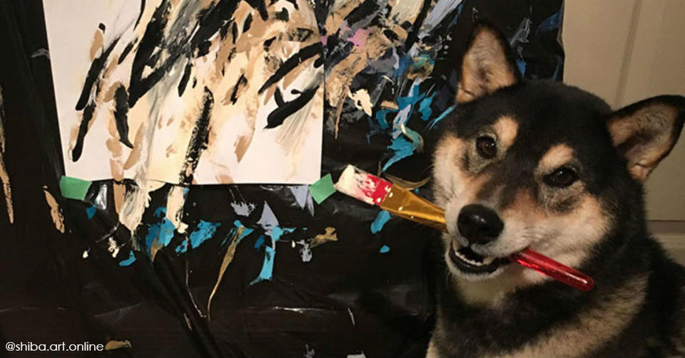 Этот пес не просто рисует картины: он уже продал их на 00! Собака породы шиба-ину рисует картины, и уже заработал через Etsy 5000$!