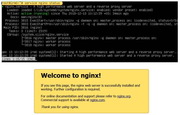 Сервер Nginx: настройка хостов