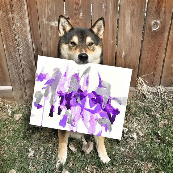 Этот пес не просто рисует картины: он уже продал их на USD5000! Собака породы шиба-ину рисует картины, и уже заработал через Etsy 5000USD!