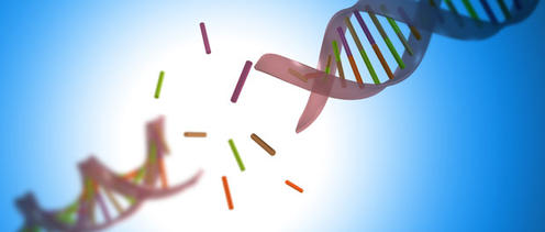 Хронический недосып может повредить вашу ДНК! Новое исследование