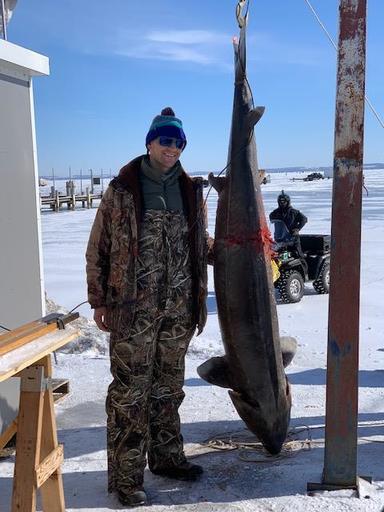 Рыбак поймал осетра-гиганта, которому было 130 лет