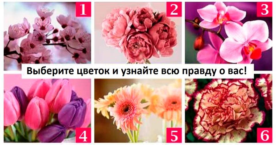 Выберите цветок на картинке   и узнаете о себе нечто новое