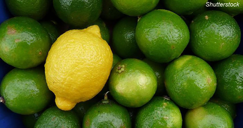 Лимон или лайм: что лучше для вашего здоровья?