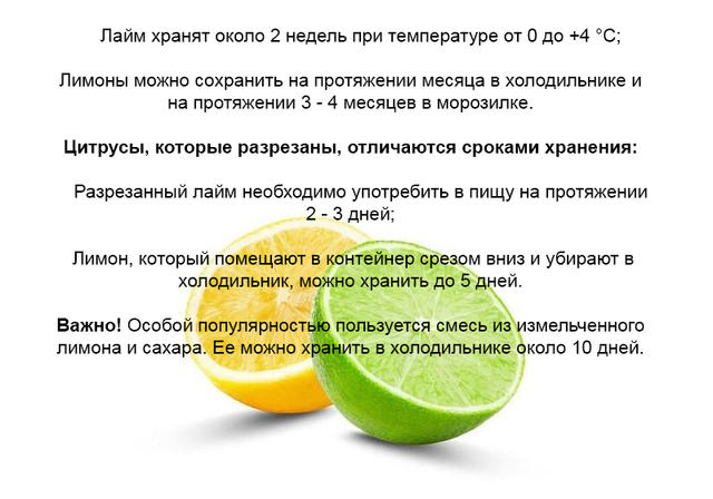 Лимон или лайм: что лучше для вашего здоровья?