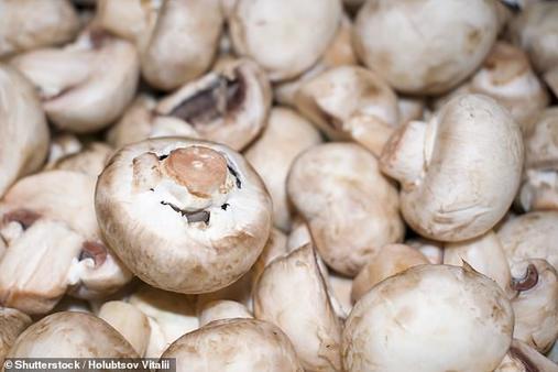 Две порции грибов в неделю в разы сокращают риск слабоумия в старости