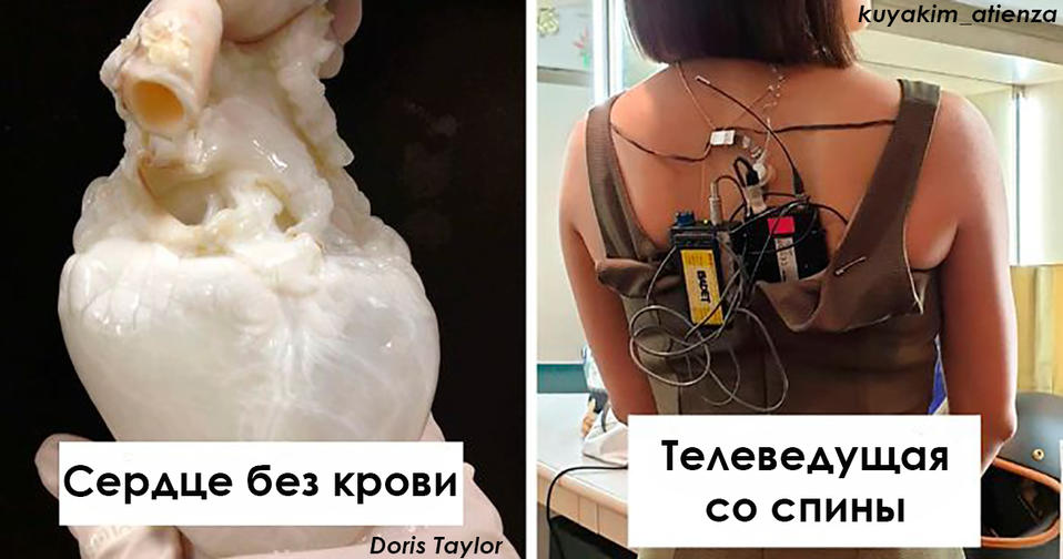 39 редких фото, которые показывают невидимую сторону вещей