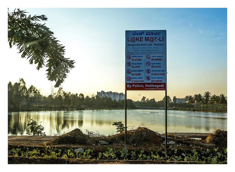 Индийский айтишник в одиночку расчистил озеро в городе Бангалор. Вот как было и как стало