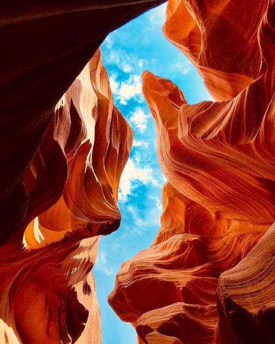 National Geographic выбрал лучшие фото из Инстаграма. Есть 30 шедевров