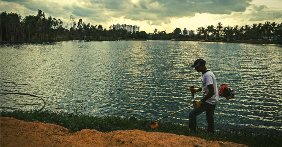 Индийский айтишник в одиночку расчистил озеро в городе Бангалор. Вот как было и как стало