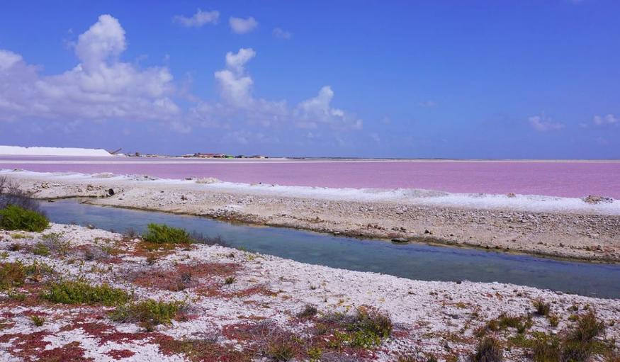 В Австралии есть розовое озеро. Как оно таким стало?