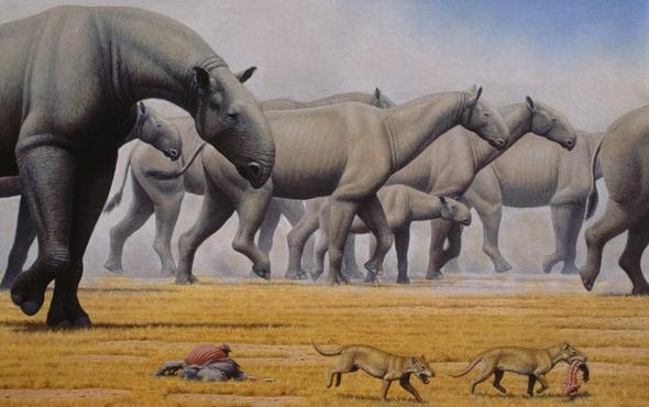 15 самых больших животных, которые когда-то жили на нашей планете