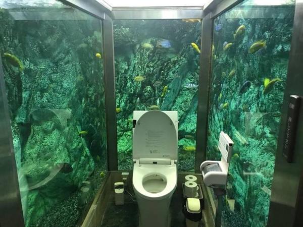 Этот японский туалет знаменит на весь мир. Сейчас вы поймете, почему