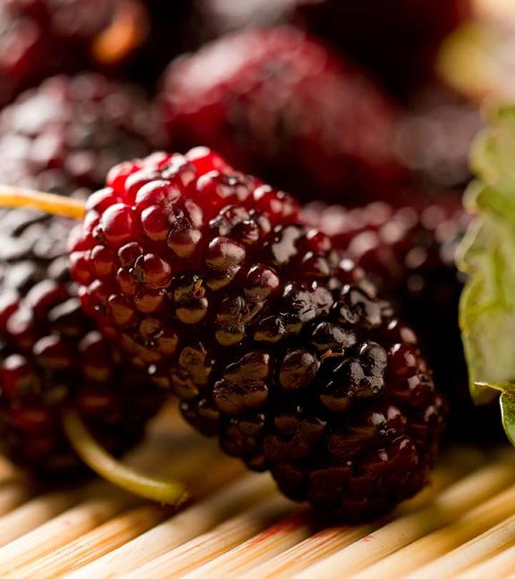 9 причин, почему шелковица - абсолютно уникальная ягода