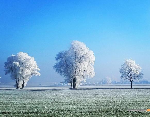 27 изумительных фото природы, в которых нет ни единого штриха из ″Фотошопа″