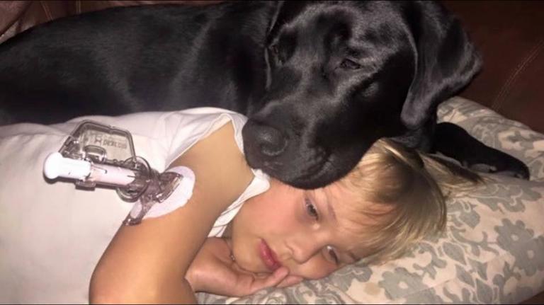 Каждый день этот пес спасает жизнь своего 7-летнего хозяина