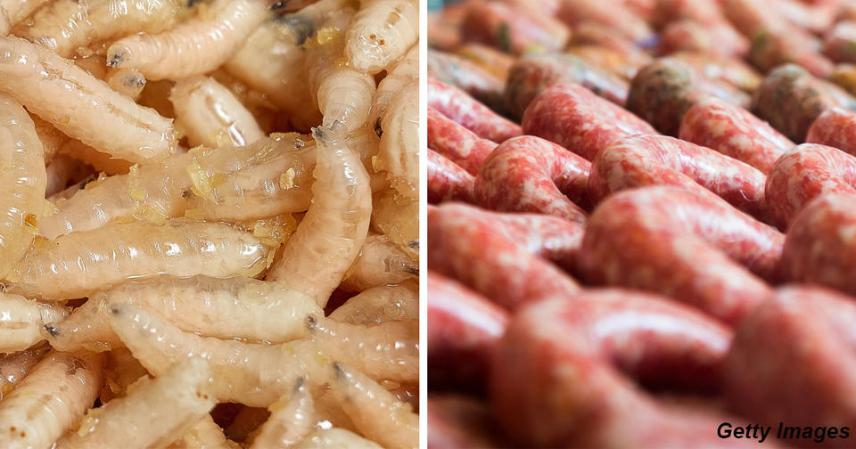 В Австралии будут продавать колбасу с личинками в качестве альтернативы мясу