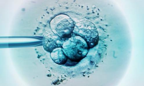 Модификация IQ эмбрионов скоро станет реальностью