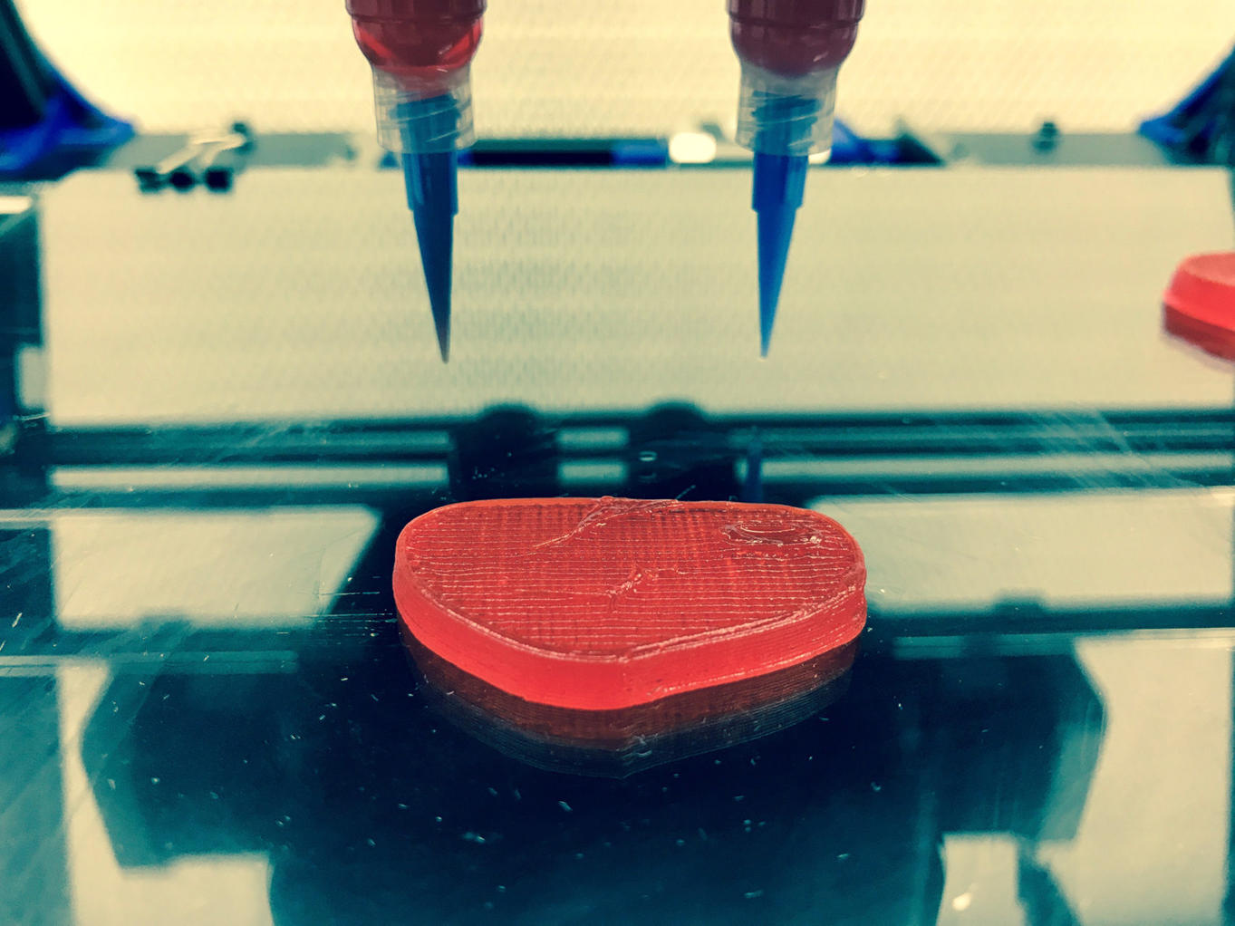 В Италии создали 3D-принтер для печати веганских стейков